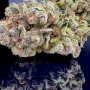 Cannabis seeds STRAWBERRY BANANA Auto from Fast Buds