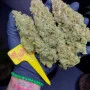 Cannabis seeds GORILLA Z Auto (GORILLA Zkittlez Auto) from Fast Buds