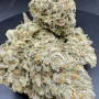 Cannabis seeds Original AUTO OG KUSH from Fast Buds