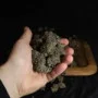 Семена конопли LEMON CHERRY RUNTZ ™ от Fast Buds