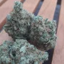 Насіння конопель LEMON MANDARIN ™ від Fast Buds