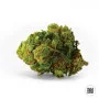 Семена конопли AUTO BIGGER BUD от Bulk Seed Bank