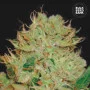 Семена конопли AUTO BIGGER BUD от Bulk Seed Bank