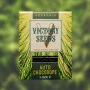 Семена конопли Auto CHOCODOPE  oт Victory Seeds