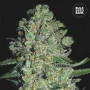 Насіння конопель AUTO CHRONICAL від Bulk Seed Bank