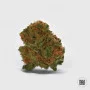 Насіння конопель AUTO COCOPOPO від Bulk Seed Bank