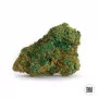 Семена конопли AUTO KALI’S MISTERY от Bulk Seed Bank