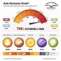 Семена конопли AUTO KEROSENE KRASH® от Dutch Passion