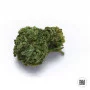 Семена конопли AUTO OG KUSH от Bulk Seed Bank
