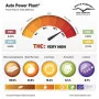 Насіння конопель AUTO POWER PLANT® від Dutch Passion