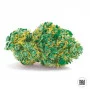 Купуй насіння конопель AUTO SWEET TOOTH від Bulk Seed Bank на Coffeeshop.ua