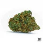 Семена конопли AUTO WILD DWARF от Bulk Seed Bank