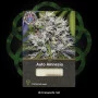 Сорт насіння канабісу Auto Amnesia