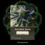 Сорт семян каннабиса Auto Black Opium