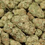 Сорт насіння канабісу Banana Sherbet Feminised Silver
