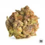 Семена конопли BUBBLEGUM EXTRA от Bulk Seed Bank