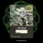Сорт насіння канабісу CBD Angel