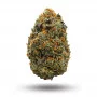 Сорт семян каннабиса California Haze Feminised Silver