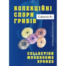 Psylocibe Cubensis spore B+