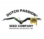 Dutch Passion