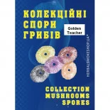 Psilocybe Cubensis spore Golden Teacher