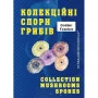Psylocibe Cubensis spore Golden Teacher