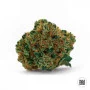 Cannabis seeds GRAPEFRUIT from Bulk Seed Bank