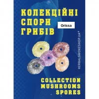 Psilocybe Cubensis spore Orissa