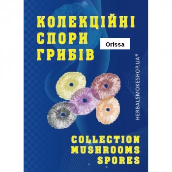 Psilocybe Cubensis spore Orissa