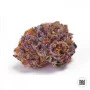 Семена конопли PURPLE GLAM KUSH от Bulk Seed Bank