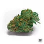 Насіння конопель SKUNK #99 від Bulk Seed Bank