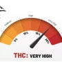 Cannabis seeds SKYWALKER HAZE® from Dutch Passion