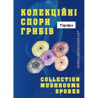 Psilocybe Cubensis spore Thapalpa