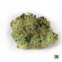 Семена конопли WHITE PRUSSIAN от Bulk Seed Bank