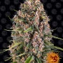 Насіння конопель BLUEBERRY CHEESE від Barney's Farm