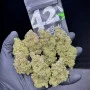 Cannabis seeds STRAWBERRY BANANA Auto from Fast Buds