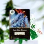 Сорт семян каннабиса Auto Blue Cheese