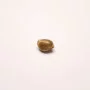 Cannabis seed variety Auto Critical Glue Feminised Silver