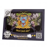 BLACK JACK AUTO®