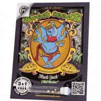 BLACK JACK F1 FAST VERSION®