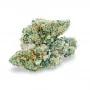 Сорт насіння канабісу Blue Dream Feminised Silver