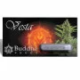 Семена конопли VESTA AUTO® от Buddha Seeds