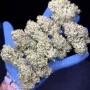 Cannabis seeds SOUR JEALOUSY Auto™ from Fast Buds