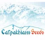 Carpathians-Seeds