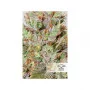 Семена конопли CBD AUTO WHITE WIDOW® от Dutch Passion
