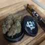 Насіння конопель RAINBOW MELON ™ від Fast Buds