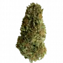 Сорт семян каннабиса Divine Sativa
