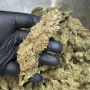 Насіння конопель FORBIDDEN RUNTZ Auto від Fast Buds
