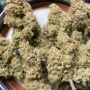 Насіння конопель FORBIDDEN RUNTZ Auto від Fast Buds