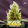 Сорт семян каннабиса Auto Critical Feminised Gold